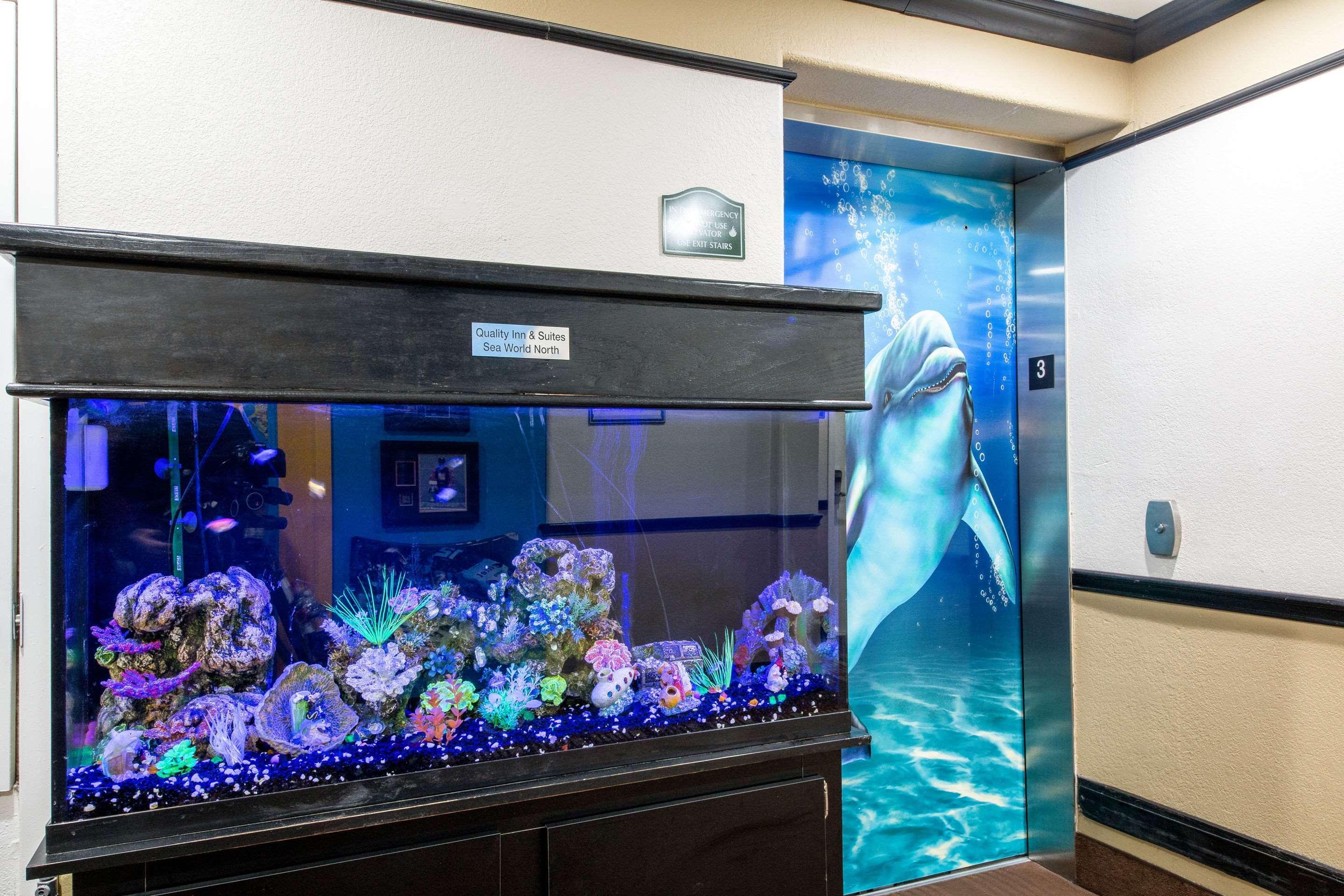 Quality Inn & Suites Seaworld North Сан-Антонио Экстерьер фото